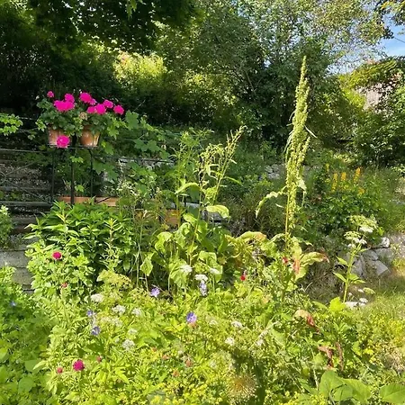 Au Manoir Des Sens Avec Bain Nordique Jacuzzi * Bergheim