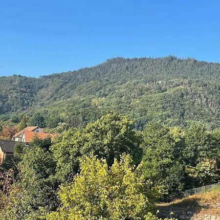 Au Manoir Des Sens Avec Bain Nordique Jacuzzi Bergheim