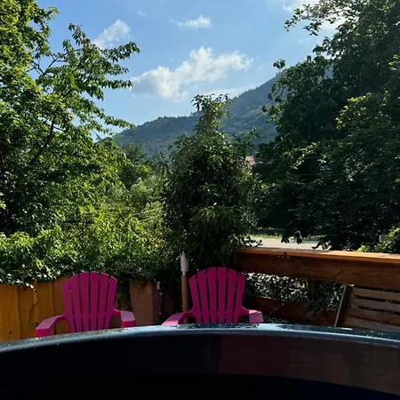 Au Manoir Des Sens Avec Bain Nordique Jacuzzi Bergheim