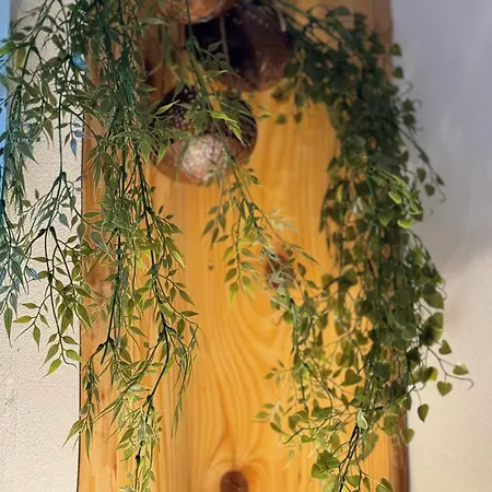 Lägenhet Au Manoir Des Sens Avec Bain Nordique Jacuzzi Bergheim