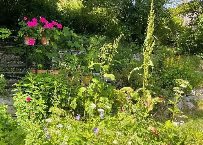 Au Manoir Des Sens Avec Bain Nordique Jacuzzi * Bergheim