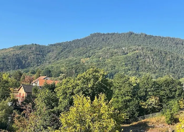 Au Manoir Des Sens Avec Bain Nordique Jacuzzi Bergheim