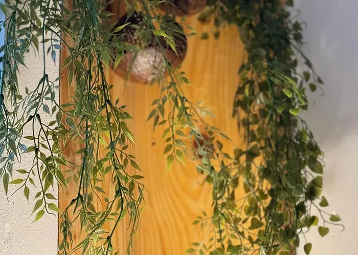 Lejlighed Au Manoir Des Sens Avec Bain Nordique Jacuzzi Bergheim