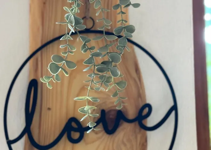 Au Manoir Des Sens Avec Bain Nordique Jacuzzi Bergheim