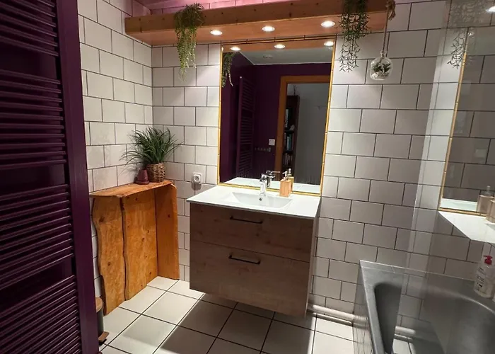 Lejlighed Au Manoir Des Sens Avec Bain Nordique Jacuzzi Bergheim